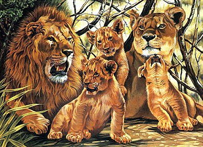 Семья - львы, животные, семья - оригинал