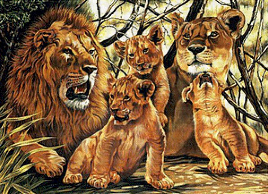 Семья - семья, животные, львы - предпросмотр