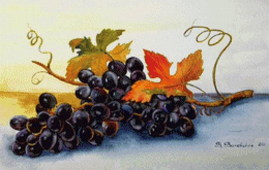 виноград - картина - предпросмотр