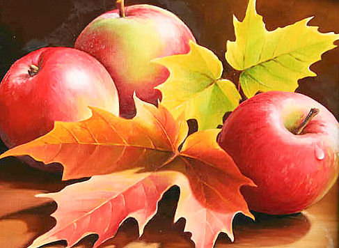Спелые яблоки - фрукты, яблоки, натюрморт, кленовые листья - оригинал