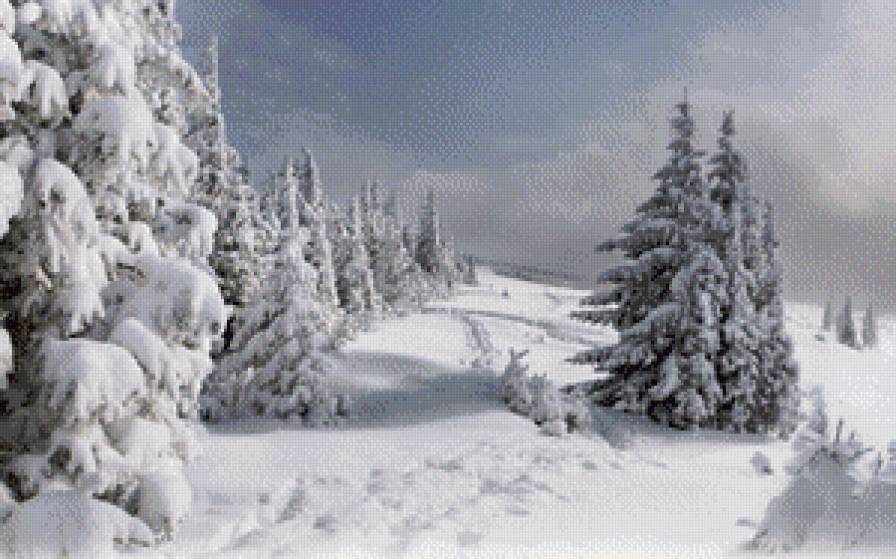 волшебница зима - поляна, природа, пейзаж, зима, снег, дерево, деревья, лес, новый год - предпросмотр
