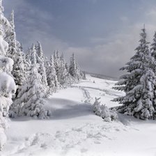 Схема вышивки «волшебница зима»