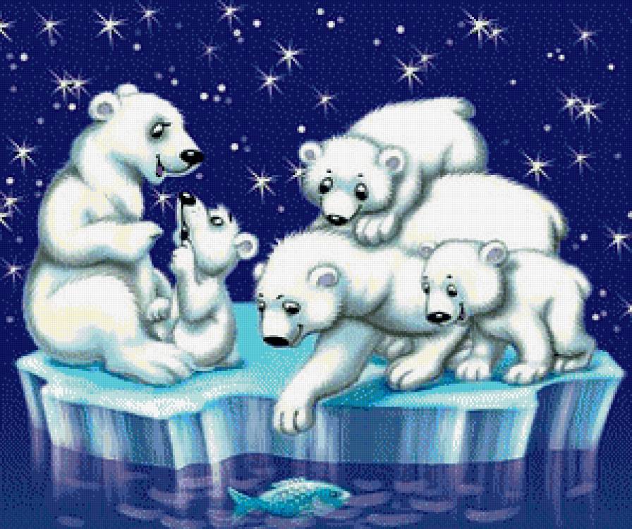 Белые мишки - животные, море, медведи, звезды, льдина - предпросмотр