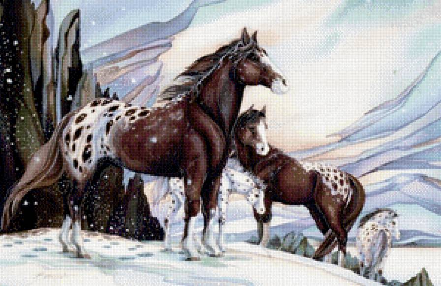 Мустанги - зима, животные, пейзаж, кони, лошади - предпросмотр