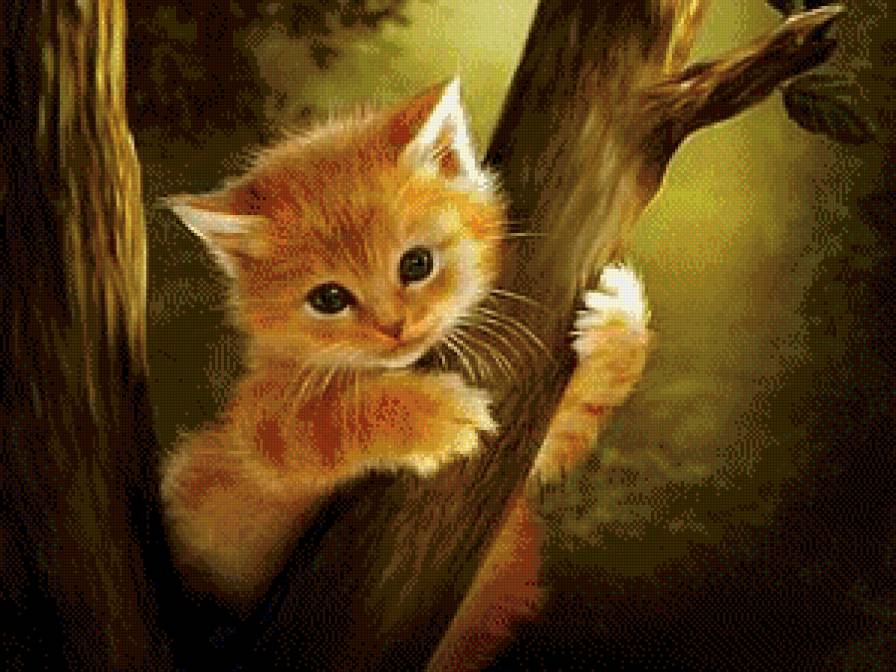 рыжий котёнок на дереве - рыжий кот, кот, домашние любимцы, котенок - предпросмотр