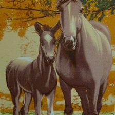 Оригинал схемы вышивки «лошади» (№524752)