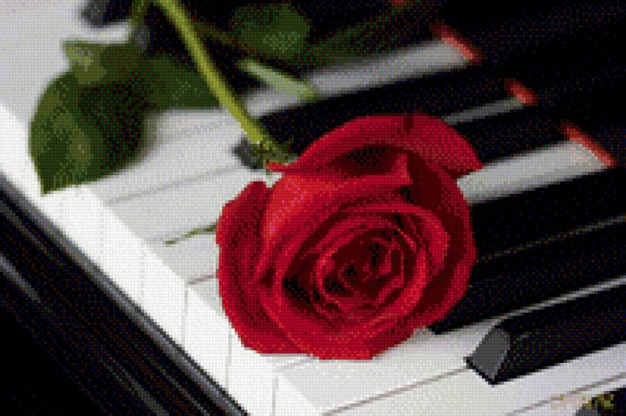 Вдохновение - рояль, розы, цветы - предпросмотр