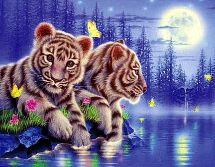 Тигрята - животные - оригинал