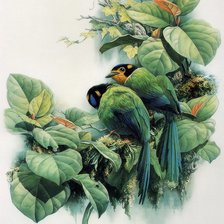 Оригинал схемы вышивки «птицы» (№525217)