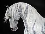 красивые лошади (подборка) - лошадь, год лошади, кони, монохром - оригинал