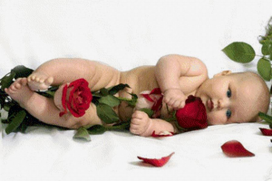 Малыш и роза - розы, цветы, дети, малыш - предпросмотр