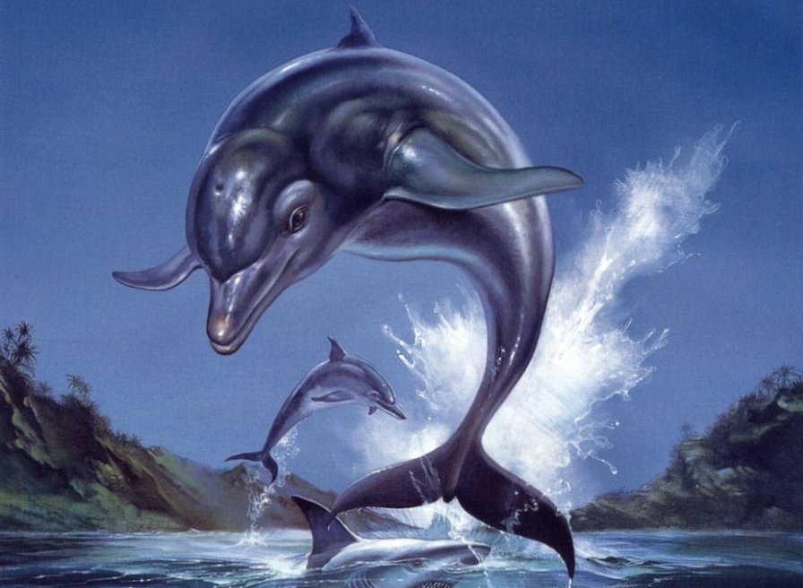 дельфины - природа, пейзаж, море, волна, дельфины - оригинал