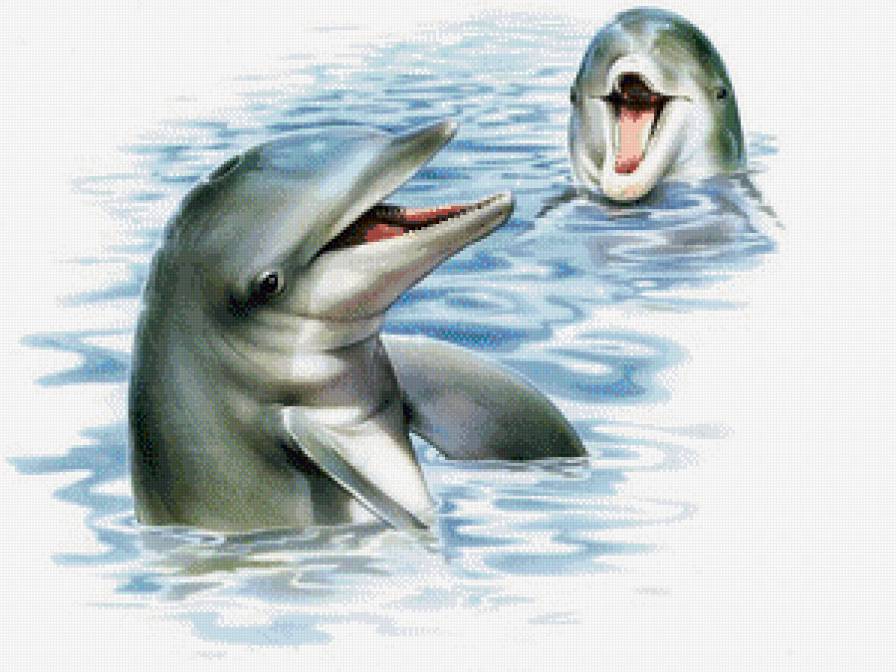 дельфины 2 - море, дельфины, волна, пейзаж, природа - предпросмотр