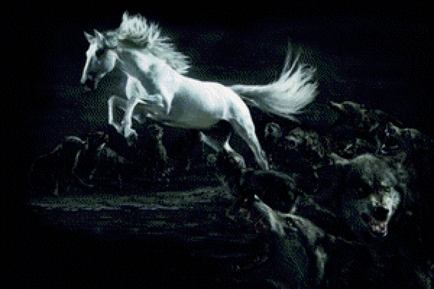 белая лошадь - животные, лошади - предпросмотр