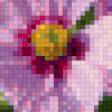 Предпросмотр схемы вышивки «розовые цветы» (№526085)