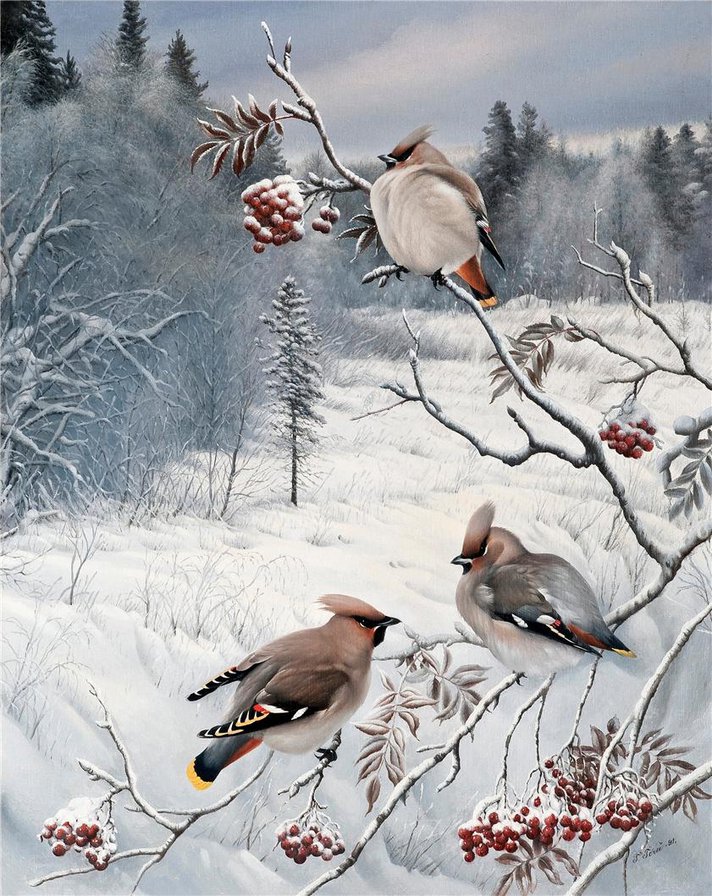 змиородки на рябине.. - птички.зимородки, снегири, зима, новый год, синички, лес, снег - оригинал