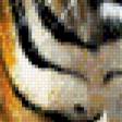 Предпросмотр схемы вышивки «тигр» (№526861)