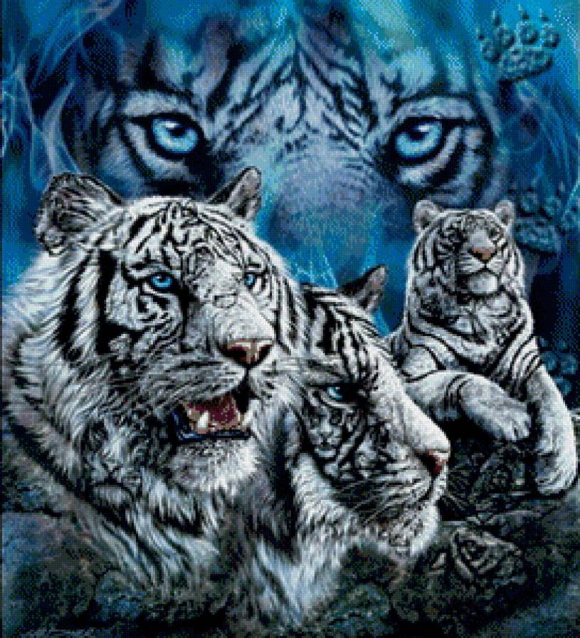 Тигры - хищники, дикие кошки, тигры - предпросмотр