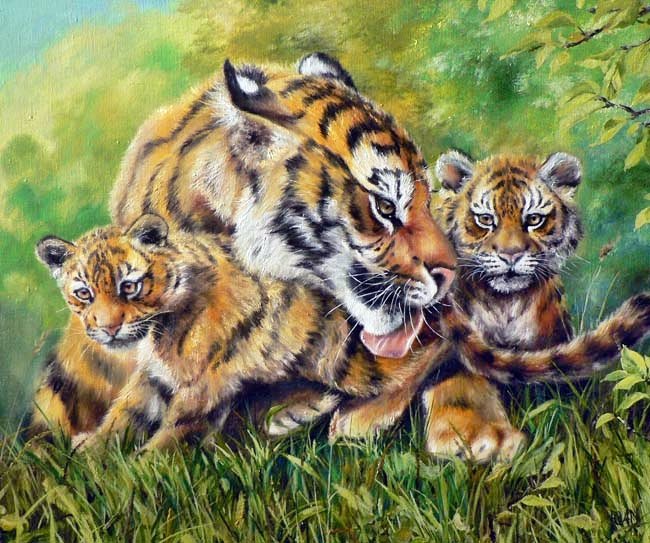 Тигры - хищники, дикие кошки, тигры - оригинал