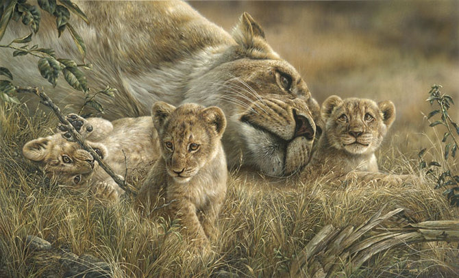 Львица с детьми - дикие кошки, хищники - оригинал