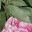Предпросмотр схемы вышивки «Букет цветов» (№527189)
