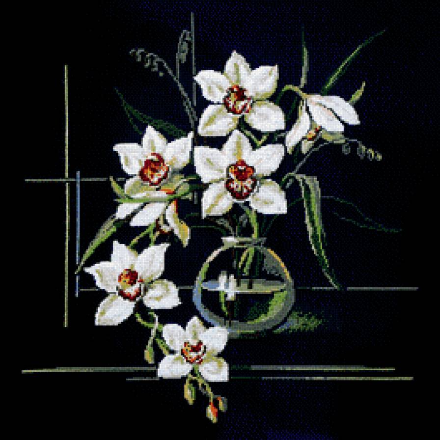 Нарциссы на черном - натюрморт, цветы - предпросмотр