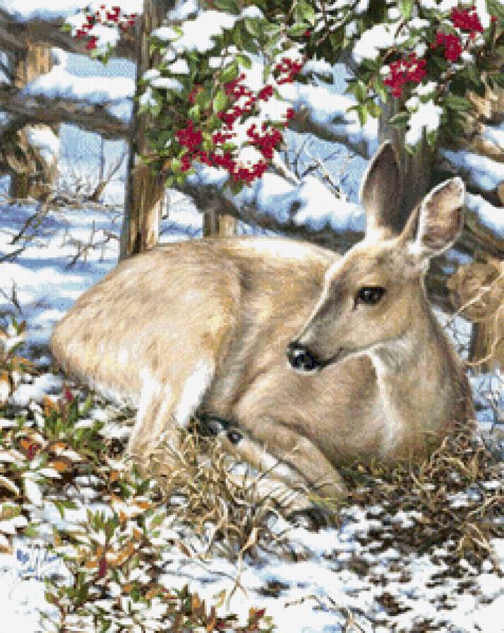 Оленёнок - зима, лес, животные, олени, снег, ягодки, олень, живопись - предпросмотр