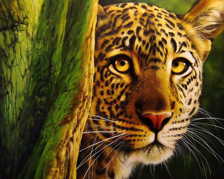 леопард - кошки, животные, леопарды - оригинал