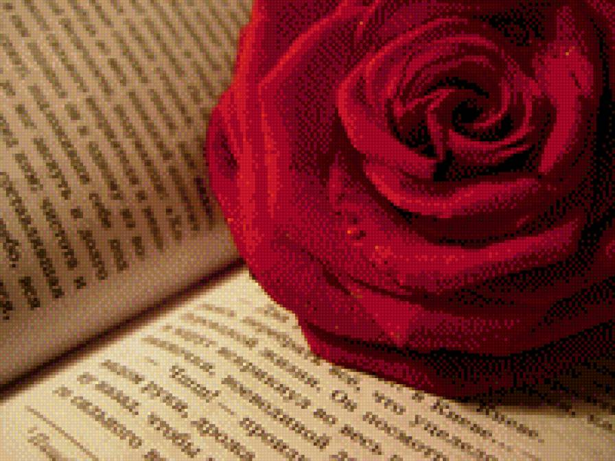 Дневник памяти 2 - цветы, роза, книга - предпросмотр