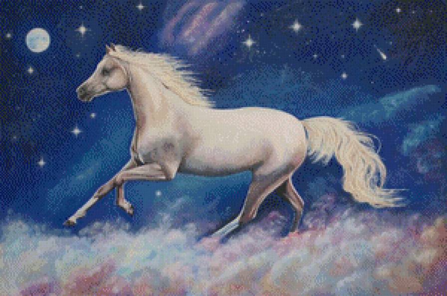звёздный конь - конь, белый конь, лошадь, лошади, кони, ночь, домашние животные - предпросмотр