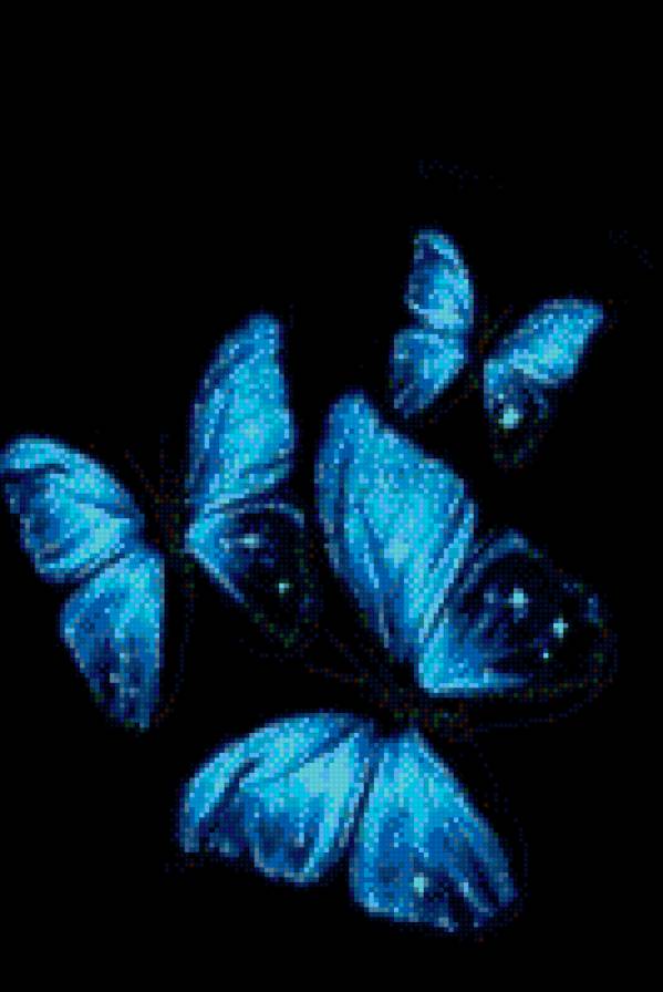 Голубые бабочки - лето, бабочки - предпросмотр
