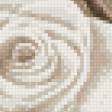 Предпросмотр схемы вышивки «Розы» (№528289)