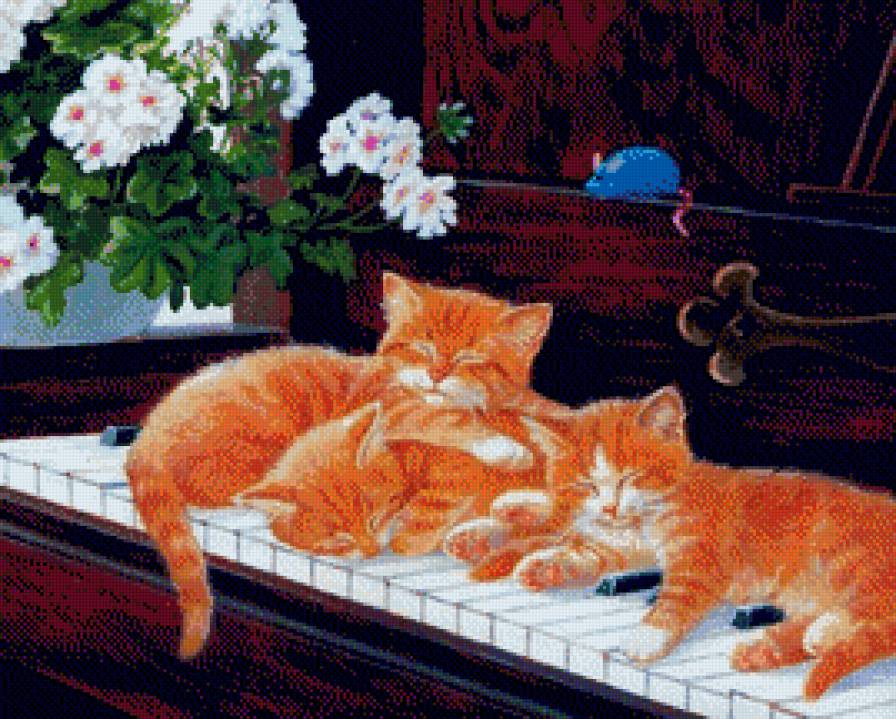 Рыжие котятя спят на пианино - пианино, кошка, животные, музыка, кот - предпросмотр