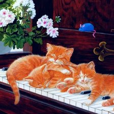Рыжие котятя спят на пианино