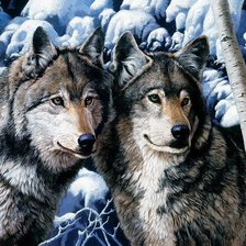 Оригинал схемы вышивки «пара волков» (№528851)