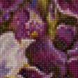 Предпросмотр схемы вышивки «букет цветов» (№528897)
