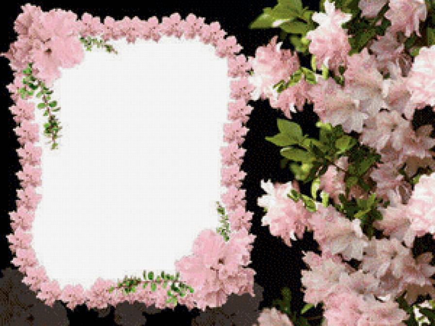 рамка - цветы, рамка для фото - предпросмотр