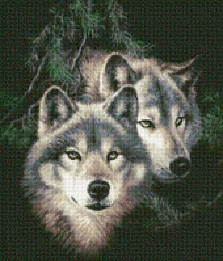 0179 - волк, природа, животные, красота, волки, картина - предпросмотр