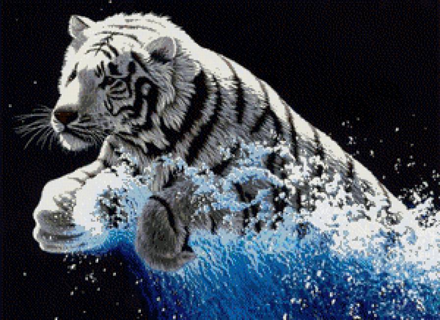 Белый тигр - животные, тигр - предпросмотр