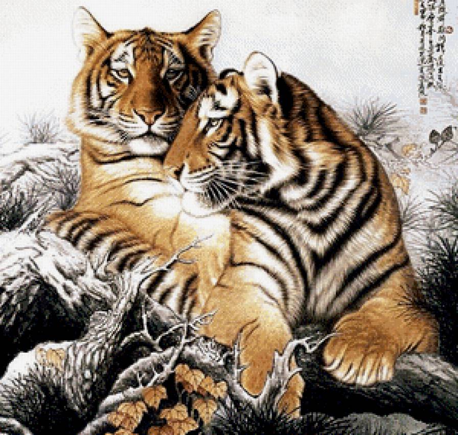 Тигры - тигры, животные - предпросмотр