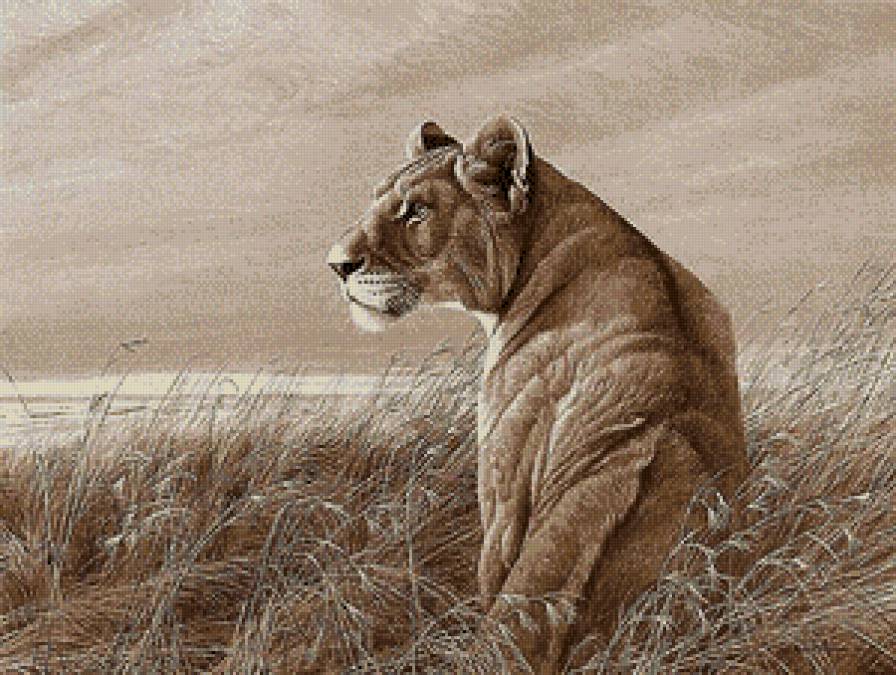 Львица на охоте (вариант СЕПИЯ) - животные, сепия, львы, живопись, большие кошки, монохром - предпросмотр