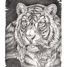 Схема вышивки «рисунок тигр»