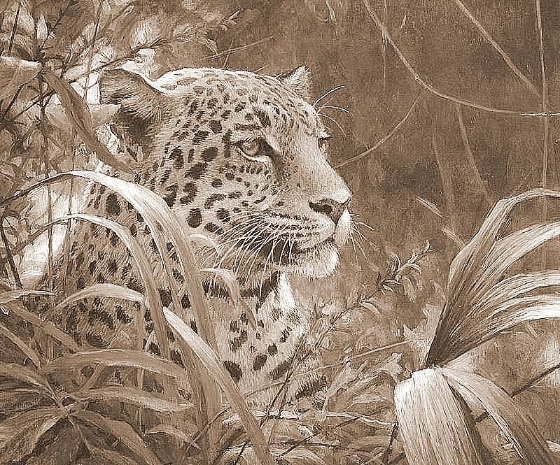 Леопард в зарослях (живопись) - живопись, животные, леопард, монохром, большие кошки, сепия, картины - оригинал
