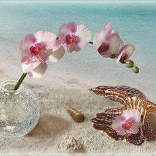 Схема вышивки «Орхидеи у моря»