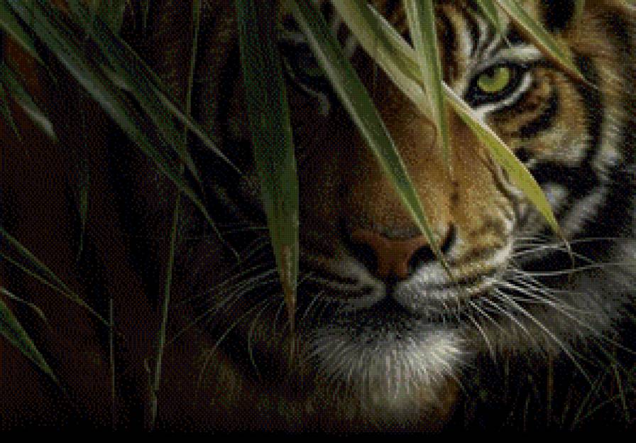 ли богл 19 тигр - хищные кошки, природа, камыш, тигр, ли богл, бамбук, хищники - предпросмотр