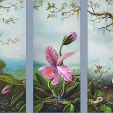 Оригинал схемы вышивки «триптих орхидея и колибри» (№531685)