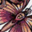 Предпросмотр схемы вышивки «бабочки» (№531880)