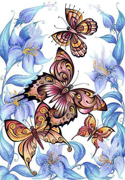 бабочки - цветы, бабочки, насекомые - оригинал