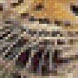 Предпросмотр схемы вышивки «Леопард» (№531939)