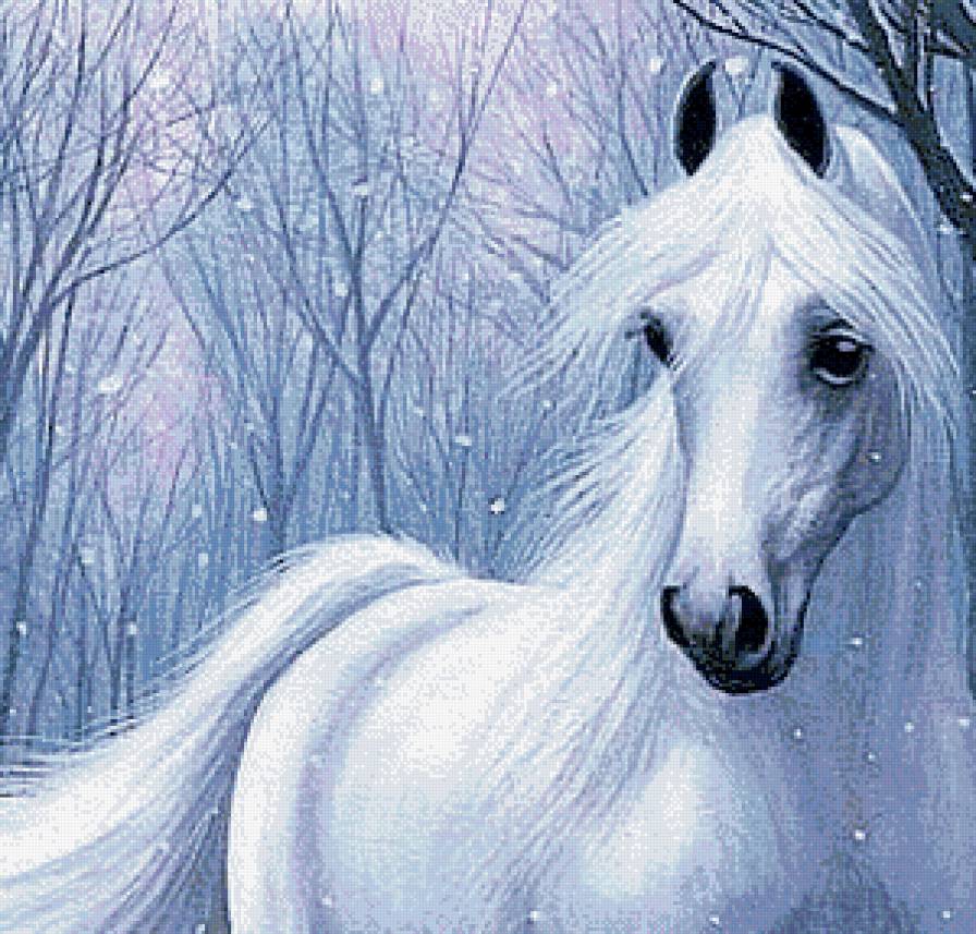белый конь зимой - конь, зима, пейзаж, снег, природа, животные, любимцы - предпросмотр